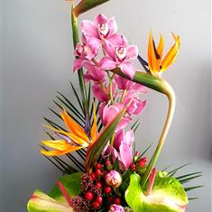 Florist Choice Seasonal Arrangement