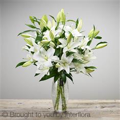 Luxury Oriental Lily Sympathy Vase