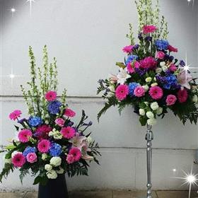 fwthumbFB_IMG_1591551621299.jpg