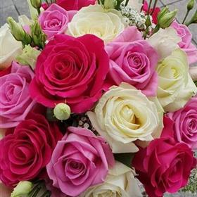 fwthumbFB_IMG_1591551884853.jpg